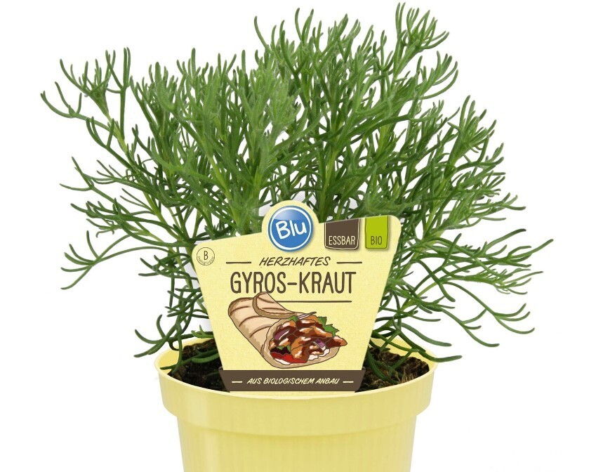 5 необычных трав. Знаете ли вы их?