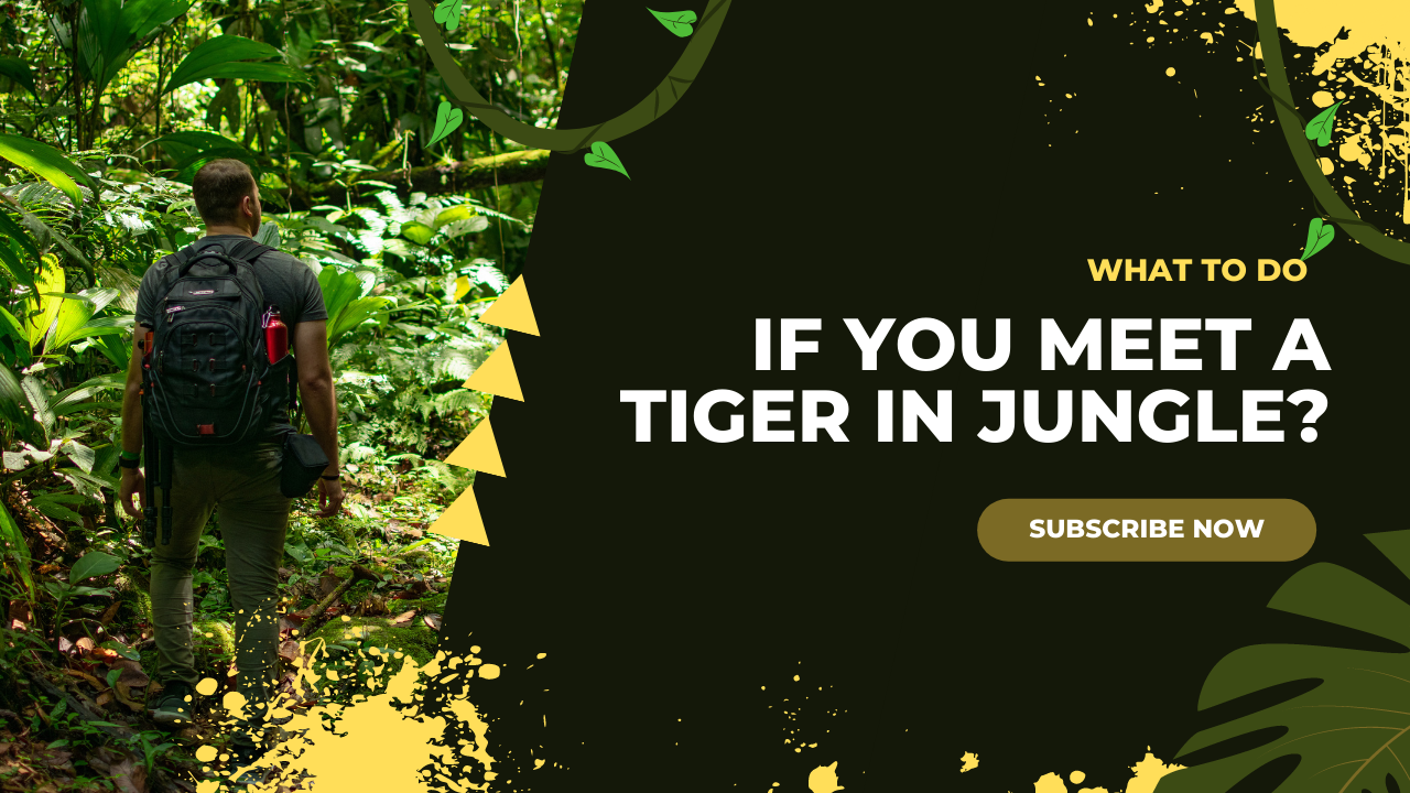 Искусство дизайна образа жизни: как создать полноценную и наполненную смыслом жизнь