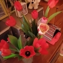 Нина, г. Владивосток