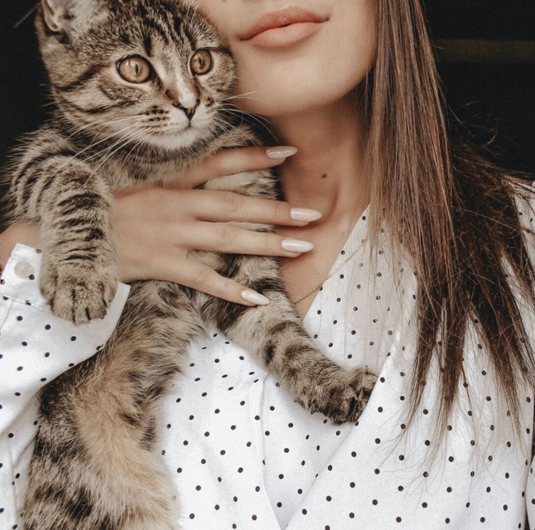 красивые фото с котом дома