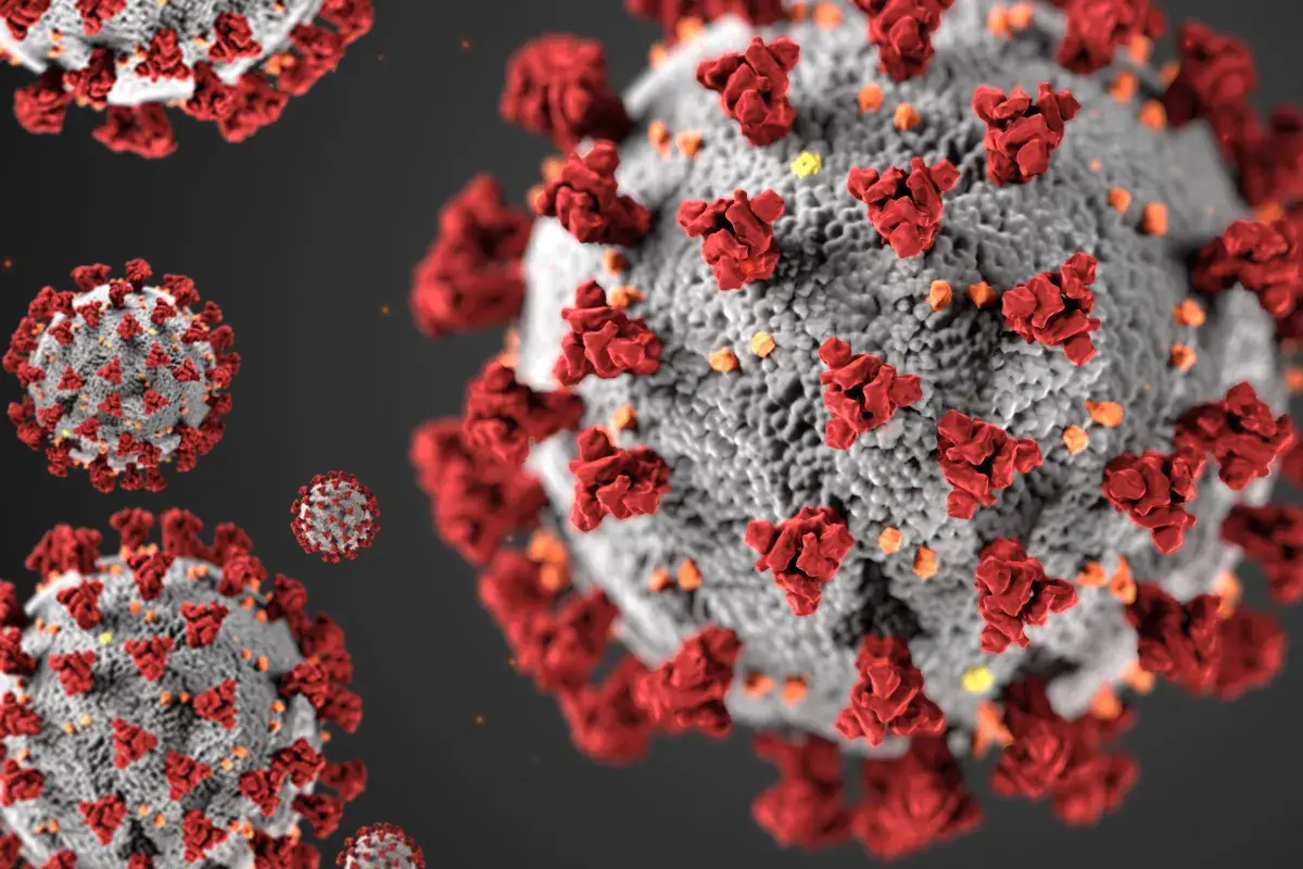 Врачи из Аризоны опасаются противоречивого лечения COVID-19 ивермектином