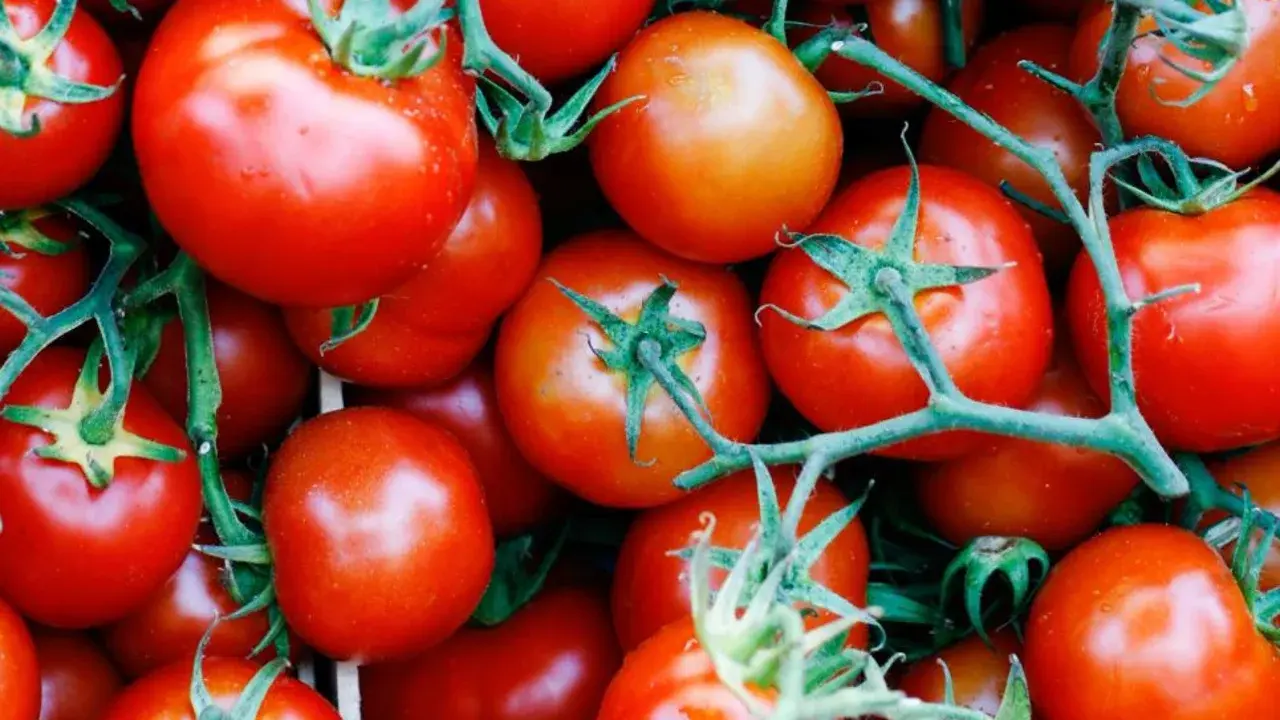 13 продуктов, которые вы, вероятно, храните неправильно