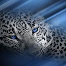 Елена, г. Ростов-на-Дону