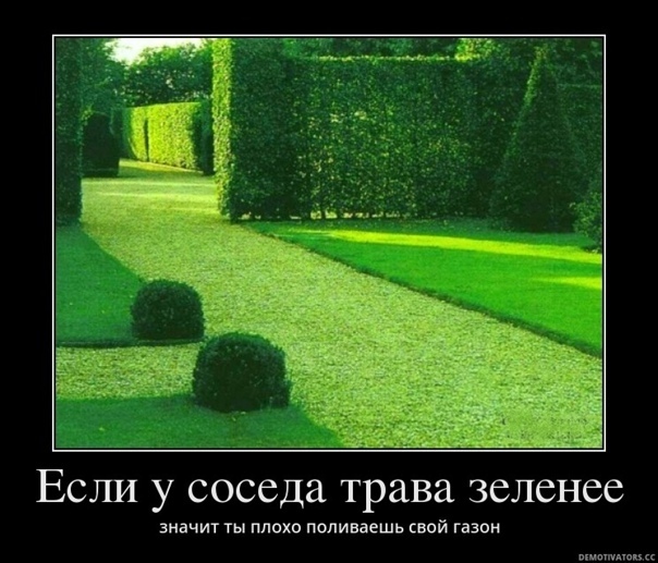 Почему все остальные кажутся лучше нас?