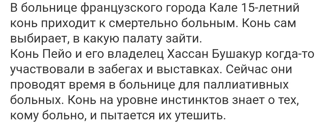 Уникальный праздник в США