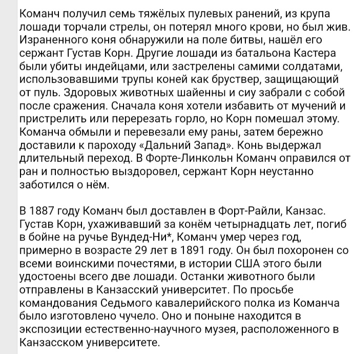 Уникальный праздник в США