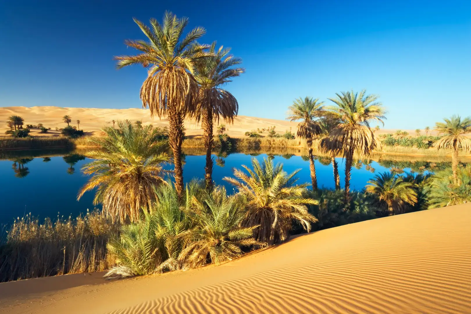 Пустыня Сахара