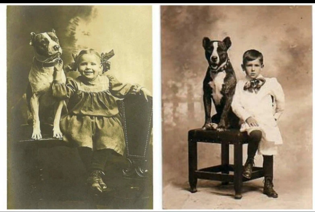 Уникальный праздник в США