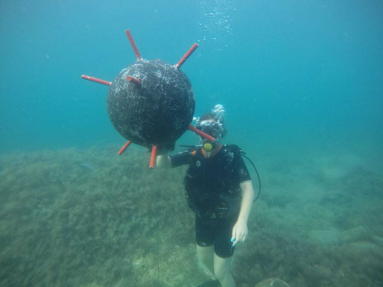 Удивительное занятие дайвингом