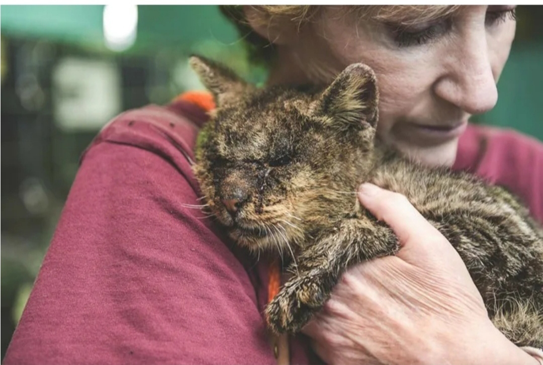 Уникальный праздник в США