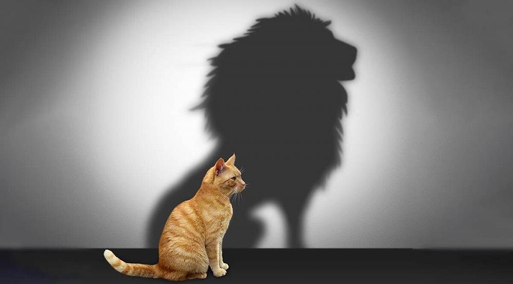 Можешь и не заметить, что твоей самооценке нанесен огромный ущерб.