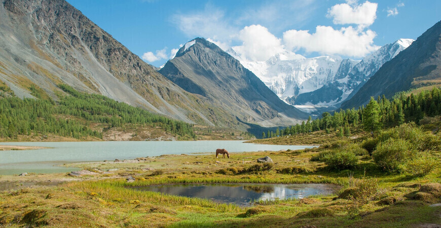 Места силы на Алтае: аномальные явления наделяют энергией, здоровьем и благополучием