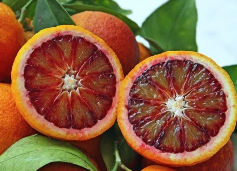 Рассказ про померанец