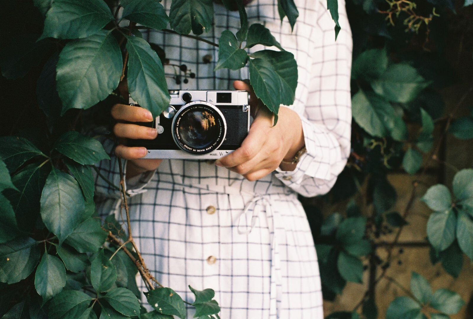 Откройте для себя лучшие альтернативы стоковым изображениям для вашего сайта: Экономичные и креативные решения