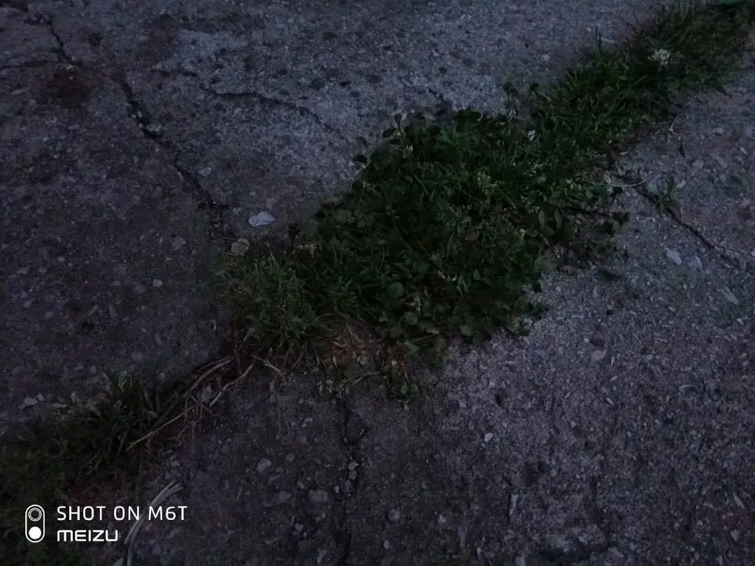 Самое дешевое и долговечное покрытие садовых дорожек из подручных средств