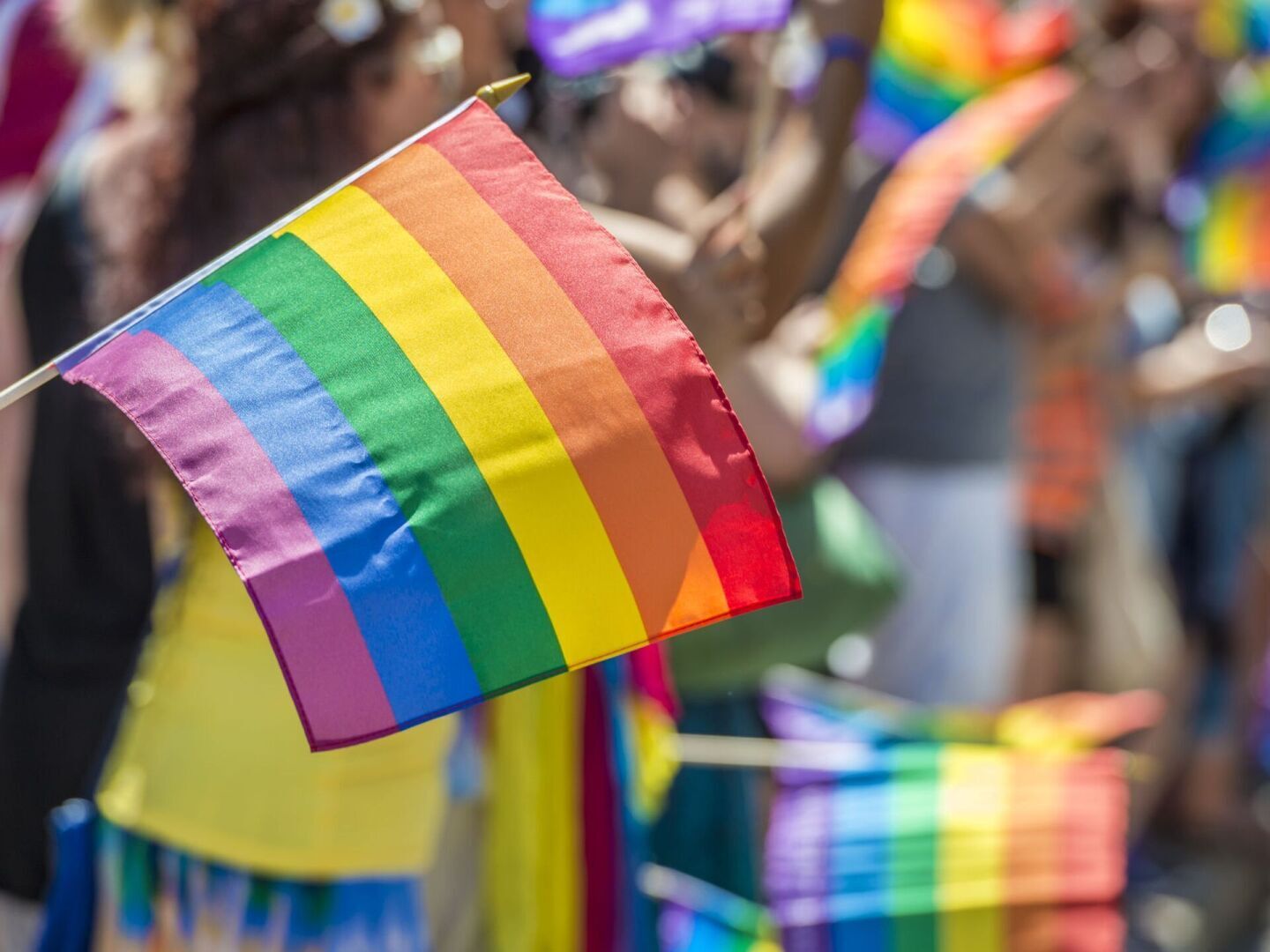 Как вы относитесь к ЛГБТ<span style=