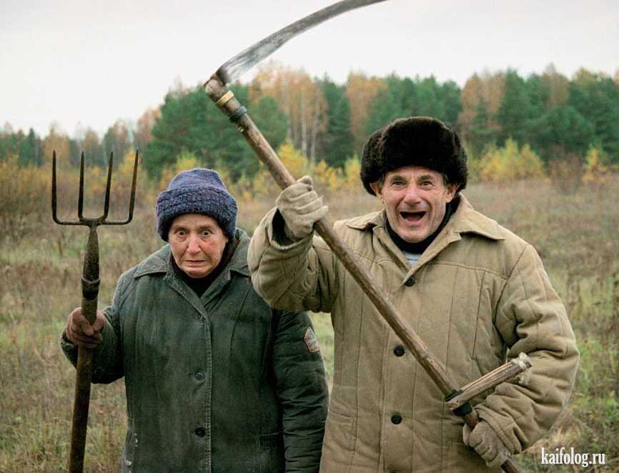 В России депутаты и законодатели регионов не осознают важность текущего момента и упорно пытаются продавить индексацию пенсий работающим пенсионерам