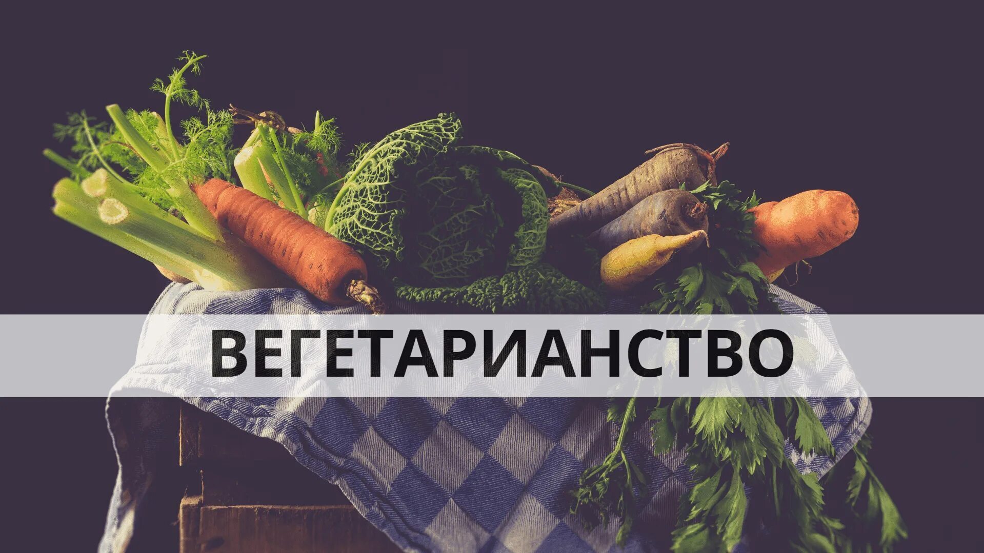 Проект веганство за и против