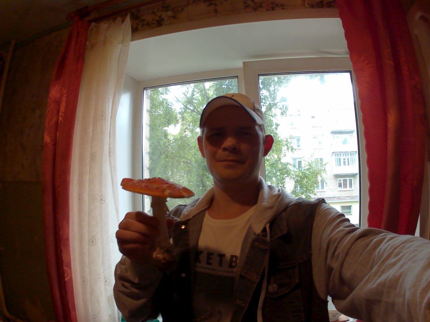 Как использовать красный мухомор в народной медицине: отвары, настои и мази