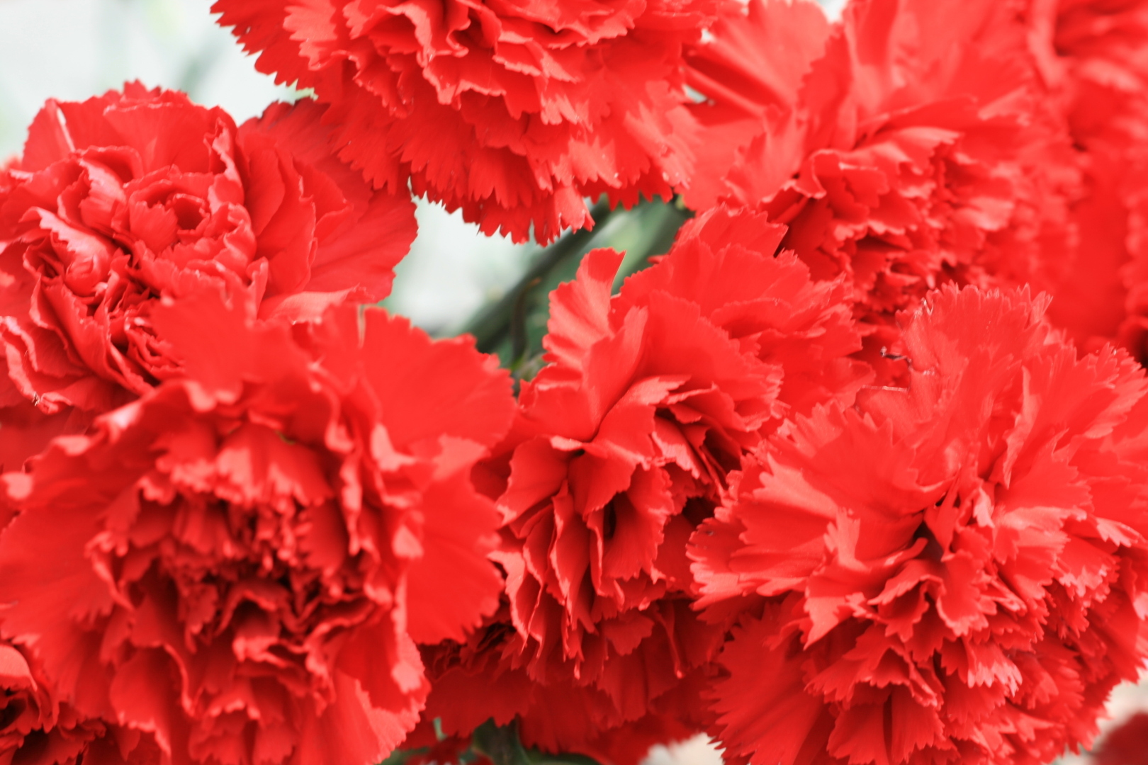 Ко Дню Победы - несколько слов о Памятнике Славы в Воронеже!