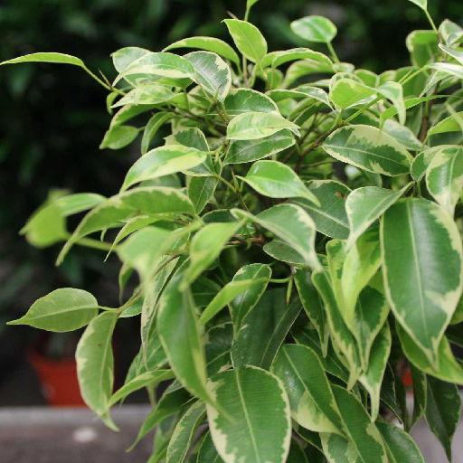 Подари своему дому новые краски жизни: живая палитра в интерьере