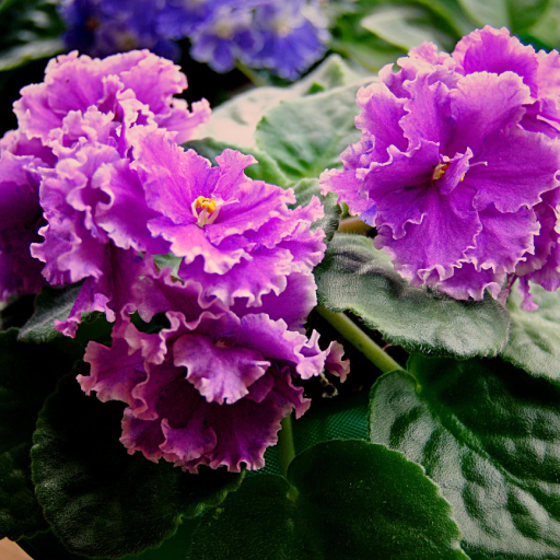 Подари своему дому новые краски жизни: живая палитра в интерьере