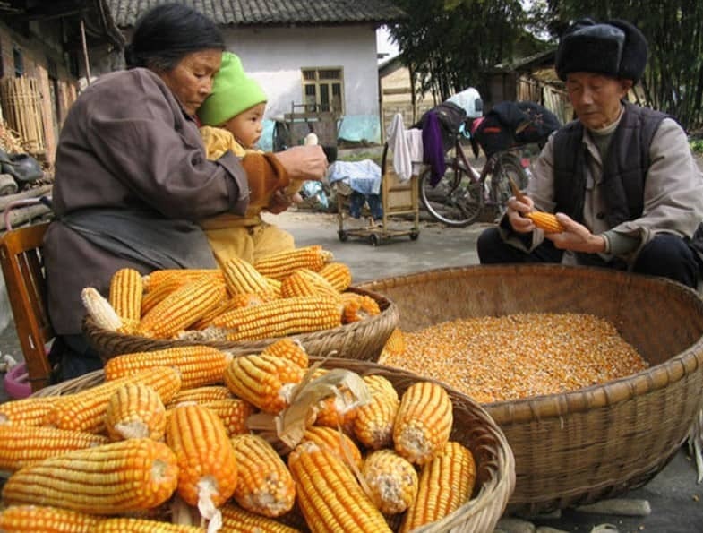 Продукты из Китая, которые вы не должны покупать.Опасно!