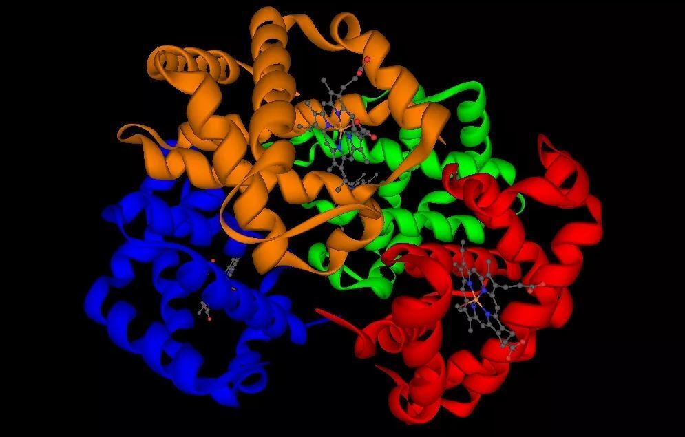 Открытие, которое перевернет медицину: ученым удалось создать искусственный белок
