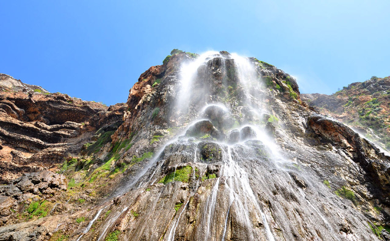 Драконовые и бутылочные деревья. Путешествие на остров Сокотра. Сны на яву