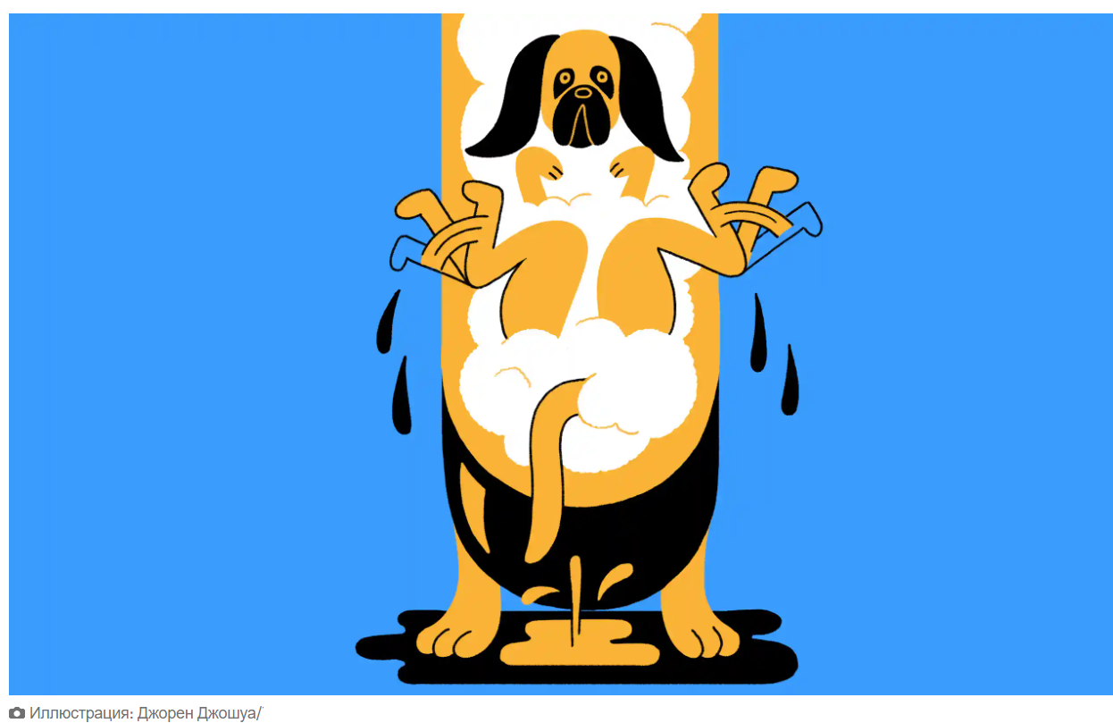 Моя собака моется в моей ванной: платить грумеру или принимать ванну с собачьей шерстью