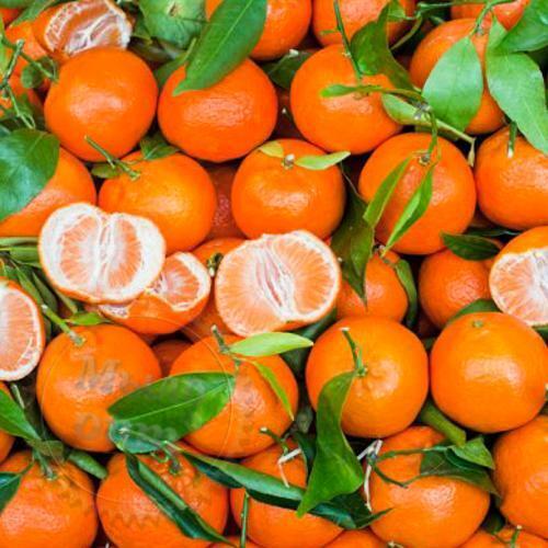 Рассказ про муркот