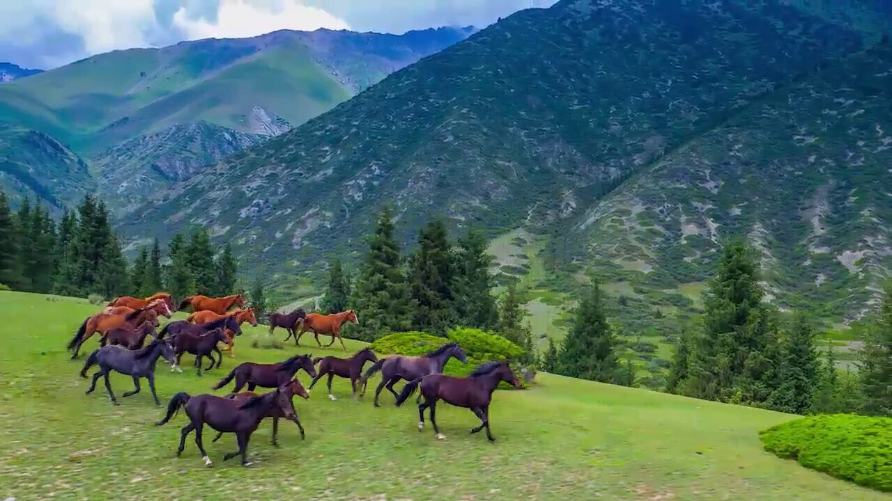 Красивые места Кыргызстана!