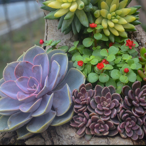 Подари своему дому новые краски жизни: живая палитра в интерьере