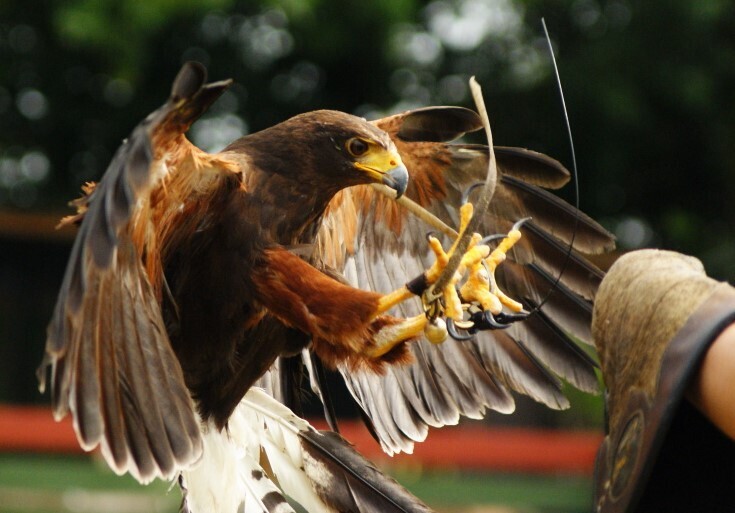 Куда съездить на выходные из Москвы: 10 отличных идей для путешествий