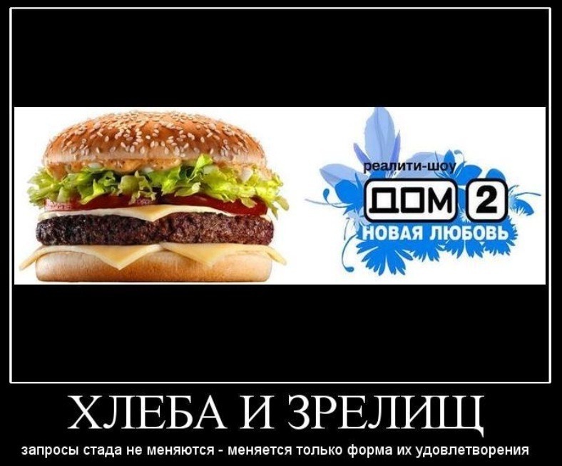 «Зрелищ давай и кнута – не надо хлеба и пряников!» Почему нас привлекают передачи с жестокостью, насилием, публичным осуждением и бедностью других?
