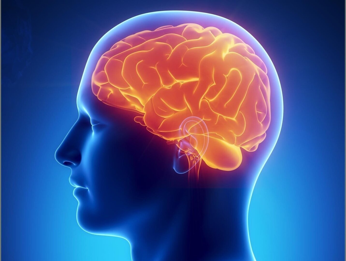 "Как ученые разгадали природу вещих снов , что они значат для нас ?"