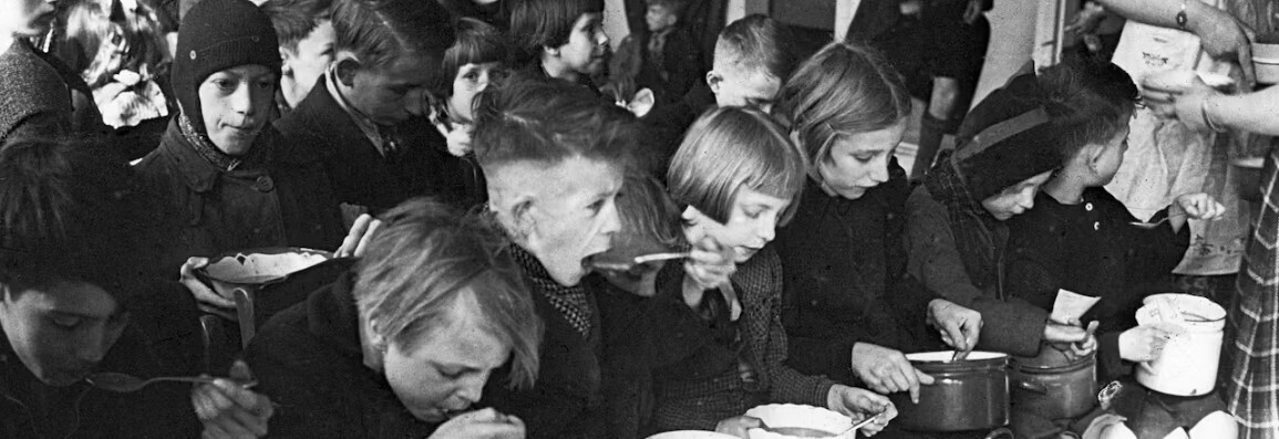 Тюльпаны на завтрак: цветок как еда. От войны до современной гастрономии. Как цветы спасли от голодной смерти