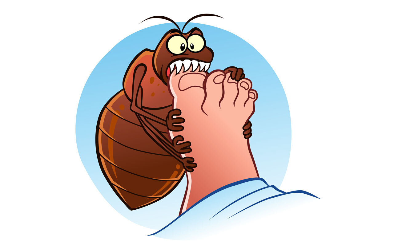 Уникальный способ заработка! Клещ вам в помощь!