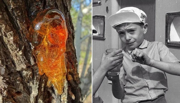 Назад в СССР: необычные лакомства, которые стоит вспомнить. Опрос