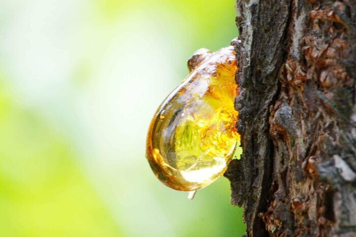 Назад в СССР: необычные лакомства, которые стоит вспомнить. Опрос