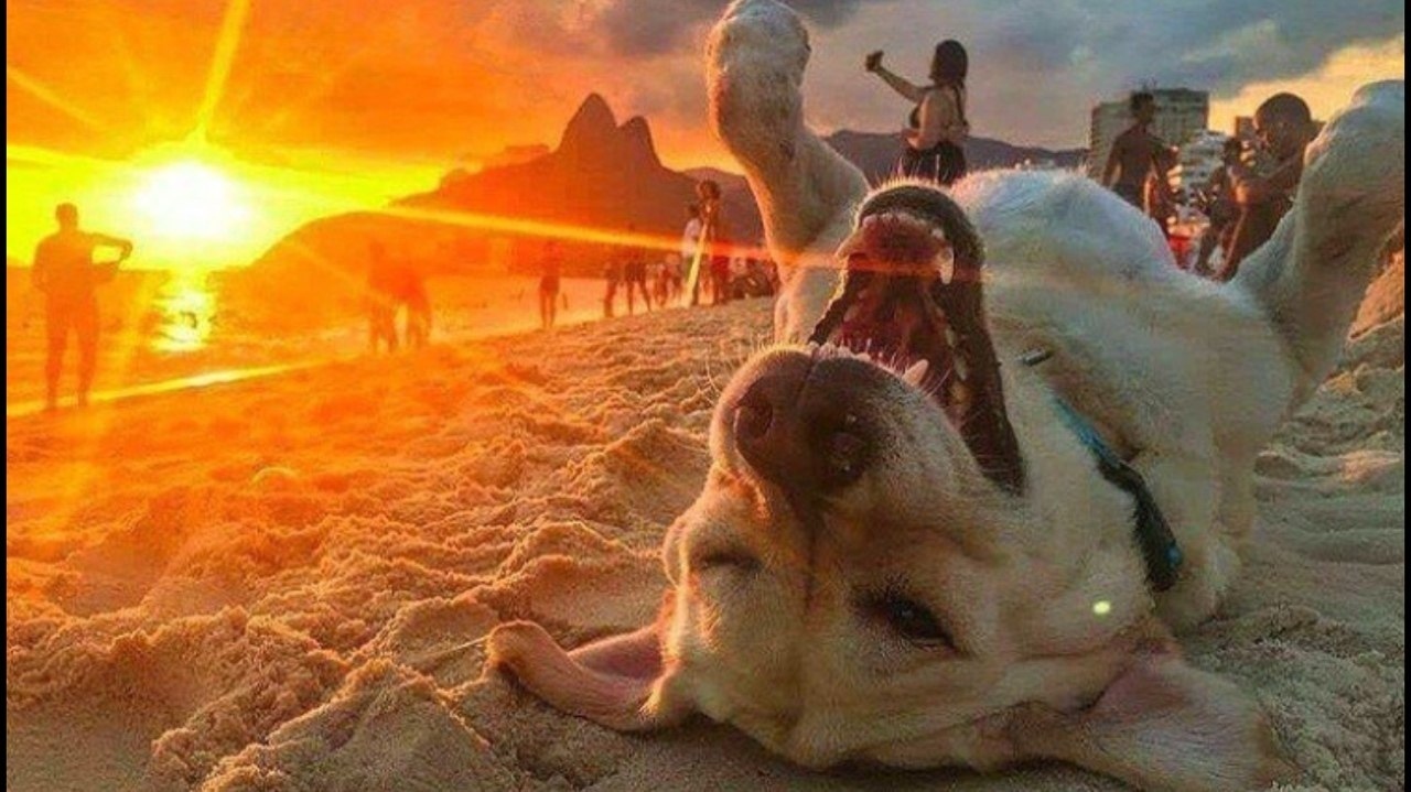 Контроль над своими мыслями: Техники преодоления негатива и критики