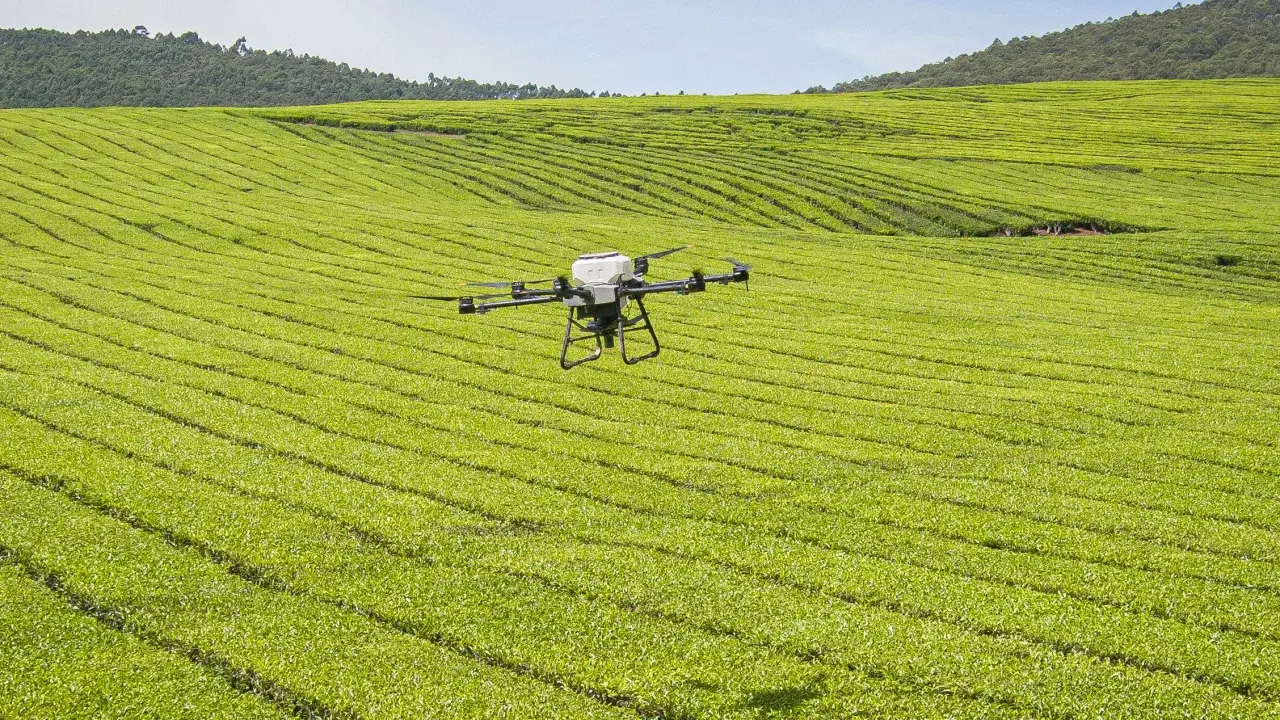 Шесть инноваций, которые могут помочь накормить весь мир