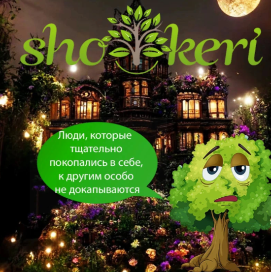 🌱 Как защитить себя от кражи по кредитной или дебетовой карты 🌱