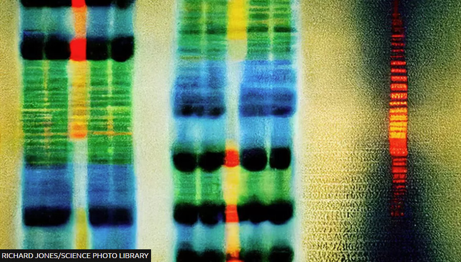 Обновленная карта ДНК лучше отражает человеческое разнообразие