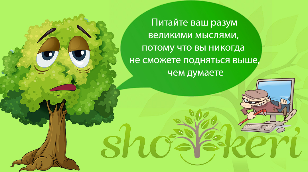 🌱 Где могут украсть наши данные для с целью похищения денег 🌱