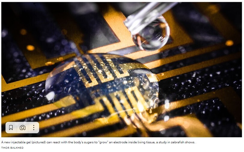 Гелевый коктейль использует сахара организма для "выращивания" электродов в живой рыбе.