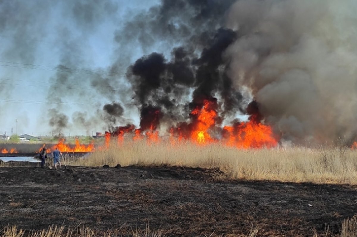 Пожары в России