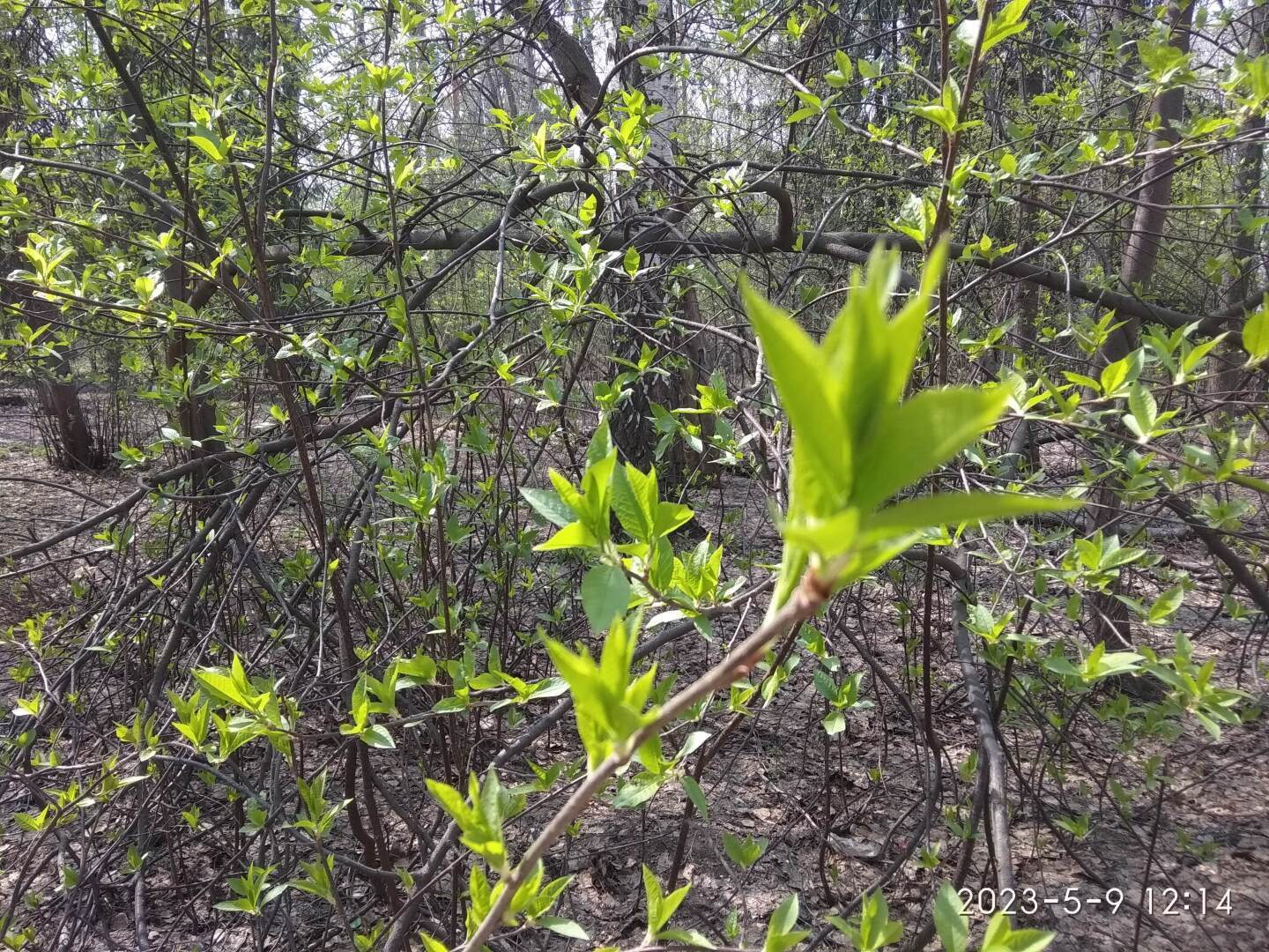 Юридическая консультация 2023 08 09