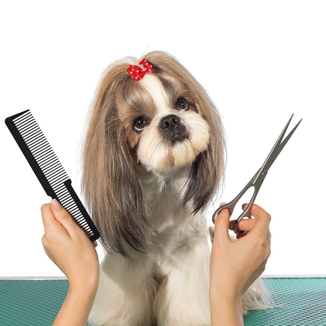 Как подстричь собаку в домашних условиях? груминг