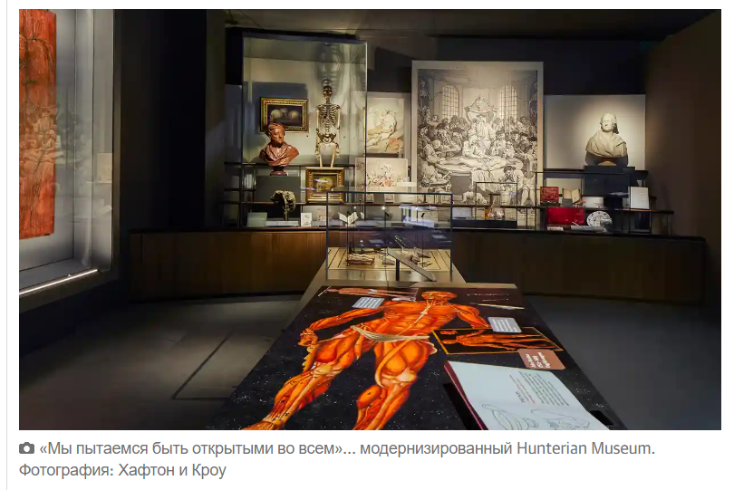 Пересадка зубов изо рта бедняков в рот богачей и маринованные пенисы: новый музей и все те же диковинки Джона Хантера